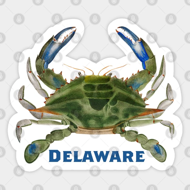 Delaware Crab Sticker by novabee